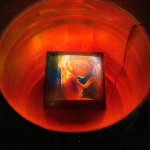 HARAM! by GoldLink - imusic.am