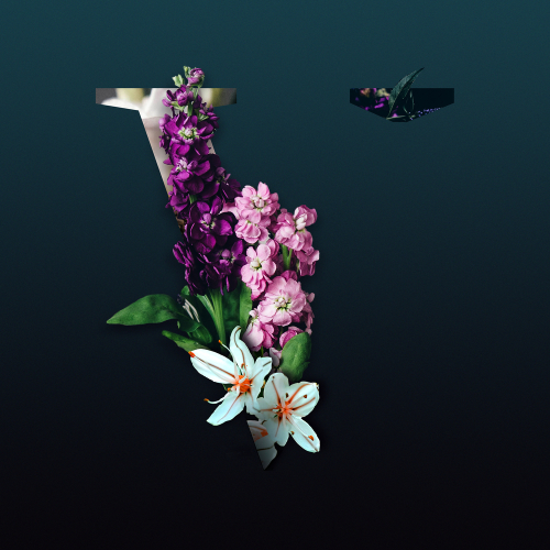 V by Various Artists - imusic.am