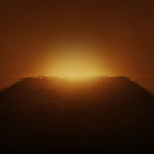 Lifetime by Swedish House Mafia, Ty Dolla $ign, 070 Shake - imusic.am