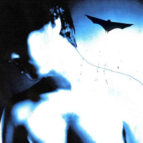 Headlights / Ford by Jimi Somewhere - imusic.am