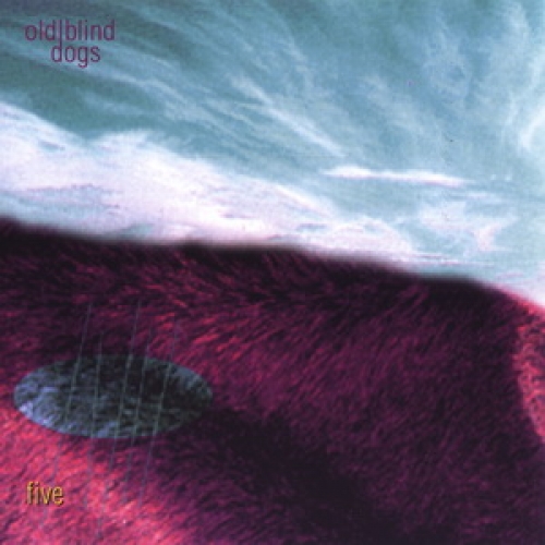 Five by Old Blind Dogs - imusic.am