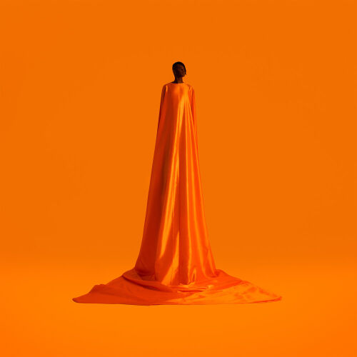 Figurine by WAYNE SNOW - imusic.am