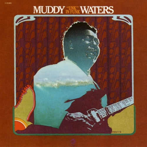 Unk In Funk by Muddy Waters - imusic.am