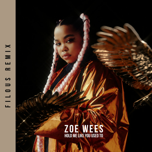 Hold Me Like You Used To by Zoe Wees - imusic.am