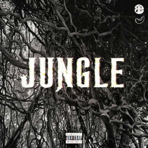 JUNGLE by JEEMBO, SEEMEE - imusic.am