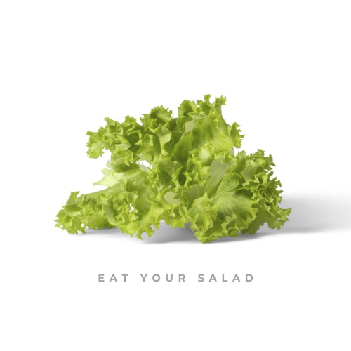 Eat Your Salad by Citi Zēni - imusic.am
