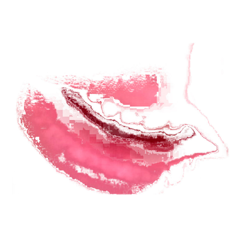 Я скучный by чистая муть - imusic.am