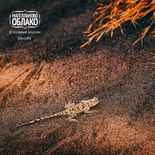Духовный Бедуин by Магелланово Облако - imusic.am