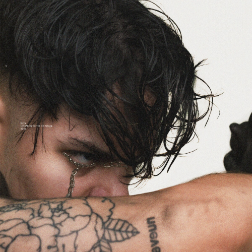 ROY by NSQK - imusic.am