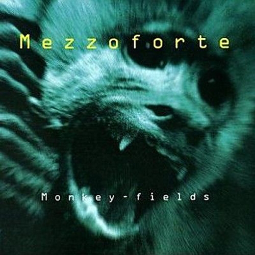 Monkey Fields by Mezzoforte - imusic.am
