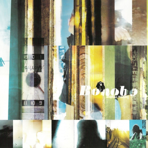 Animal Magic by Bonobo - imusic.am