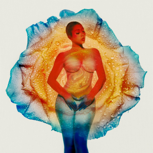 I Wish you Roses by Kali Uchis - imusic.am