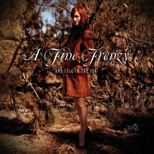 One Cell In The Sea by A Fine Frenzy - imusic.am