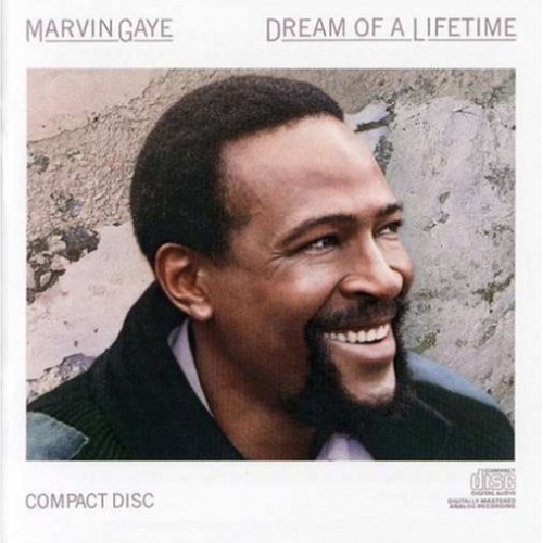 Dream Of A Lifetime by Marvin Gaye - imusic.am