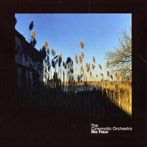 Ma Fleur by The Cinematic Orchestra - imusic.am