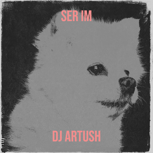 Ser Im by DJ Artush - imusic.am