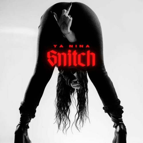 Snitch by YA NINA - imusic.am