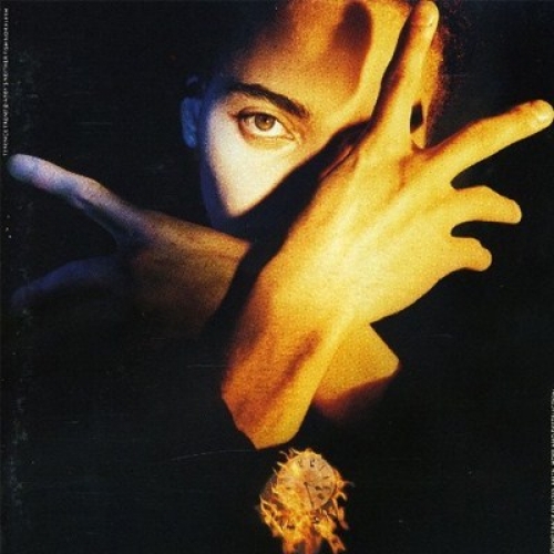 Neither Fish Nor Flesh: A Soundtrack Of Love, Faith, Hope, And Destruction by Terence Trent D'arby - imusic.am