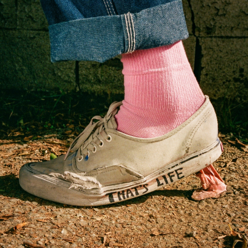 That's Life by FIDLAR - imusic.am