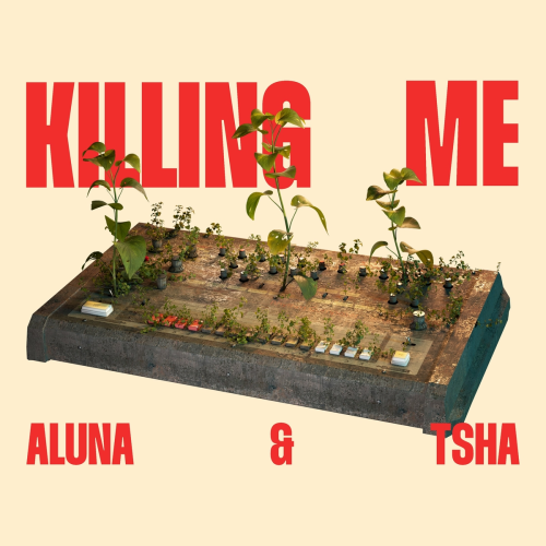 Killing Me by Aluna, TSHA - imusic.am