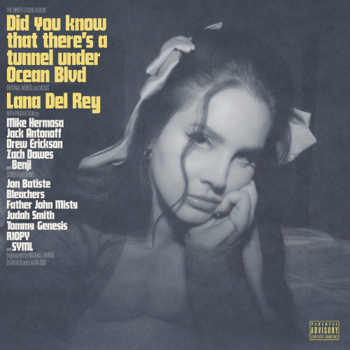 Did you know that there's a tunnel under Ocean Blvd by Lana Del Rey - imusic.am