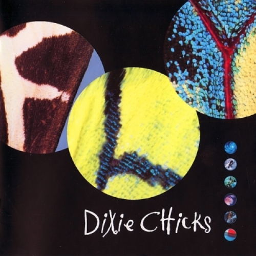 Fly by The Chicks - imusic.am