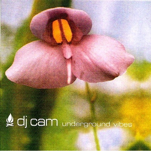 Underground Vibes by Dj Cam - imusic.am