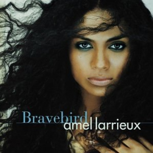 Bravebird by Amel Larrieux - imusic.am