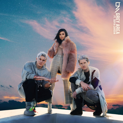 Grey Area by Grey, Sofia Carson - imusic.am