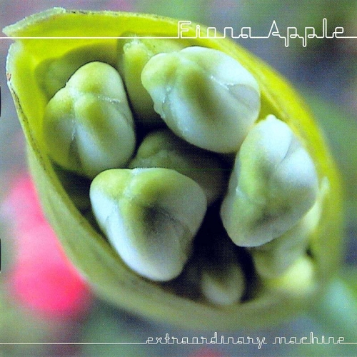 Extraordinary Machine by Fiona Apple - imusic.am