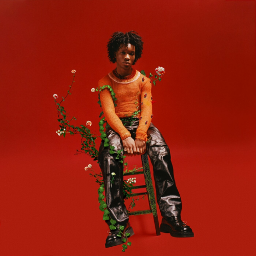 Petals to Thorns by d4vd - imusic.am