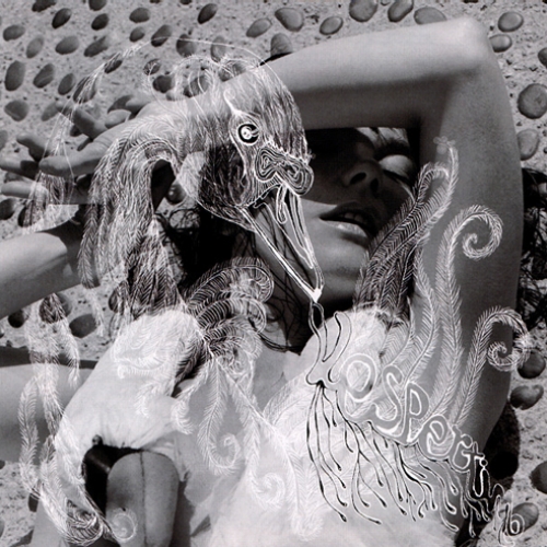 Vespertine by Bjork - imusic.am
