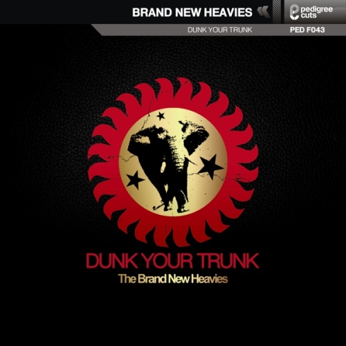 Dunk Your Trunk by The Brand New Heavies - imusic.am