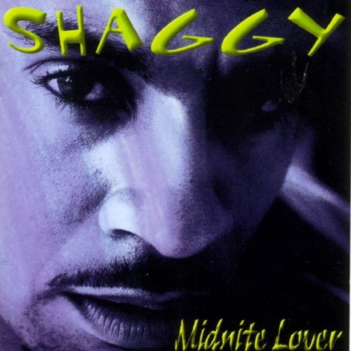 Midnite Lover by Shaggy - imusic.am