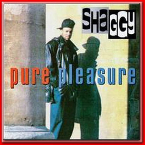 Pure Pleasure by Shaggy - imusic.am