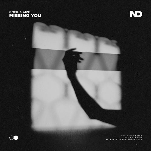 Missing You by ONEIL, Aize - imusic.am