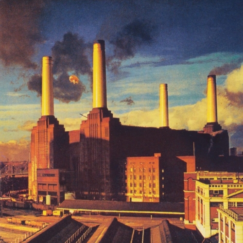 Animals by Pink Floyd - imusic.am