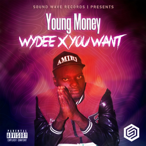 Wydee X You Want by Young Money - imusic.am