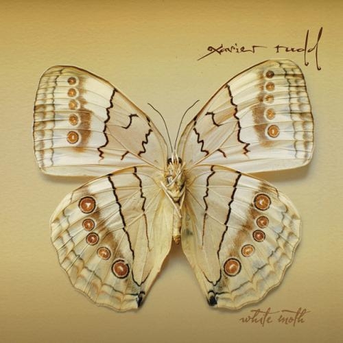 White Moth by Xavier Rudd - imusic.am