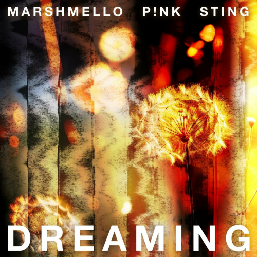 Dreaming by Marshmello, P!nk, Sting - imusic.am