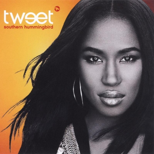 Southern Hummingbird by Tweet - imusic.am