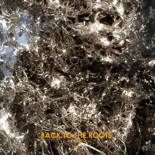 BACK.TO.THE.ROOTS. by Various Artists - imusic.am