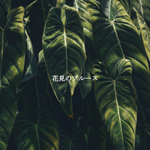 花見のブルース by New York Jazz Lounge - imusic.am