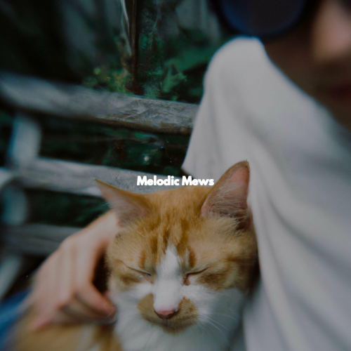 Melodic Mews by New York Jazz Lounge - imusic.am