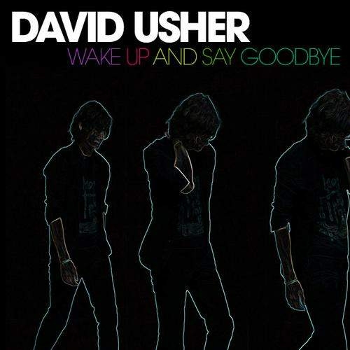 Wake Up And Say Goodbye by David Usher - imusic.am
