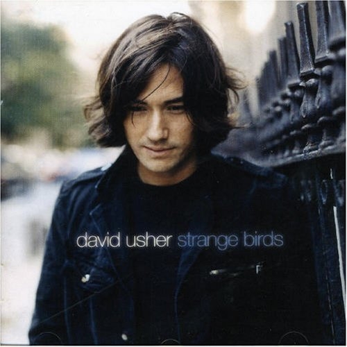 Strange Birds by David Usher - imusic.am