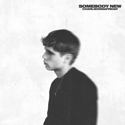 Somebody New by charlieonnafriday - imusic.am