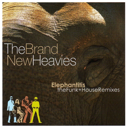 Elephantitis - The Funk by The Brand New Heavies - imusic.am