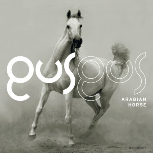 Arabian Horse by Gusgus - imusic.am