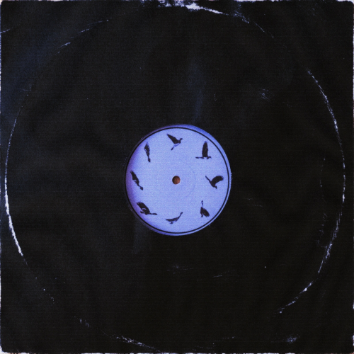 What You Won't Do for Love by Gus Dapperton - imusic.am